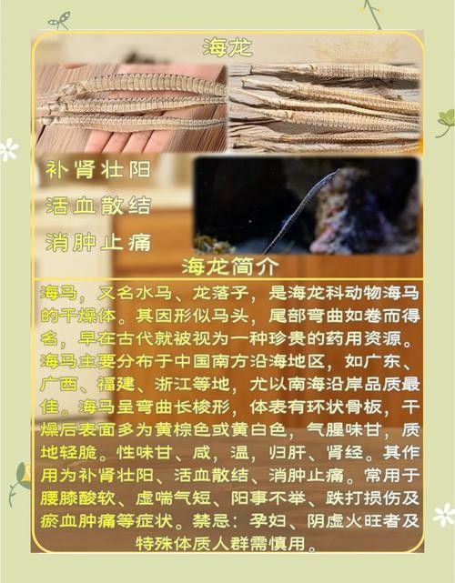 海龍魚飼料有哪些優(yōu)點(海龍魚飼料的優(yōu)勢)