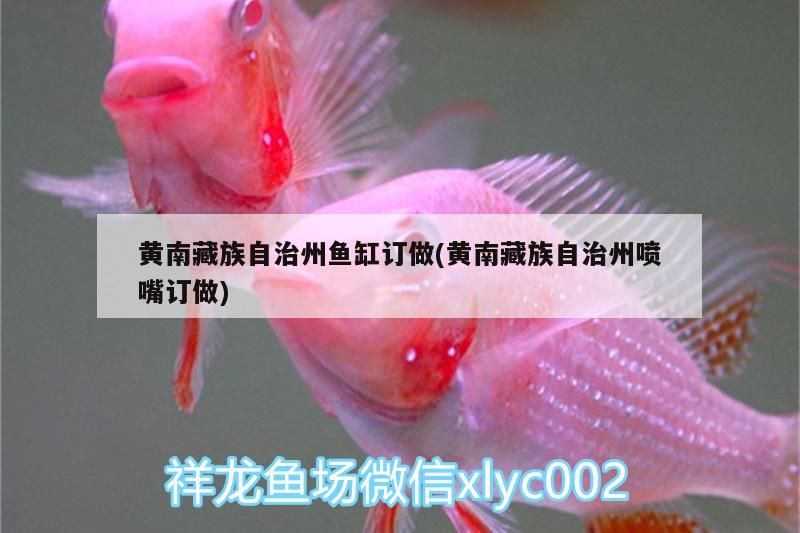 黃南藏族自治州魚缸訂做(黃南藏族自治州噴嘴訂做)（黃南藏族自治州的魚缸訂做）
