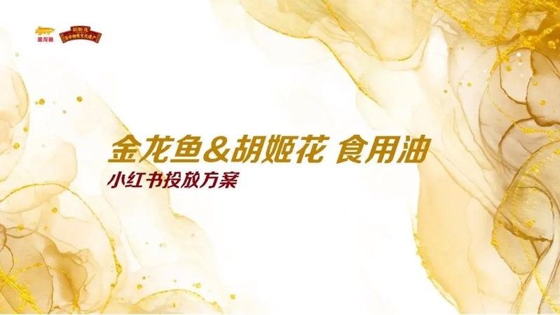 金龍魚未來有哪些傳播計劃（金龍魚未來傳播計劃） 金龍魚未來有哪些傳播計劃（金龍魚未來傳播計劃） 龍魚百科 第1張
