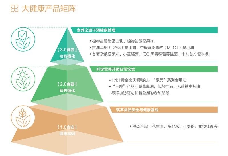 金龍魚未來有哪些傳播計劃（金龍魚未來傳播計劃） 金龍魚未來有哪些傳播計劃（金龍魚未來傳播計劃） 龍魚百科 第3張