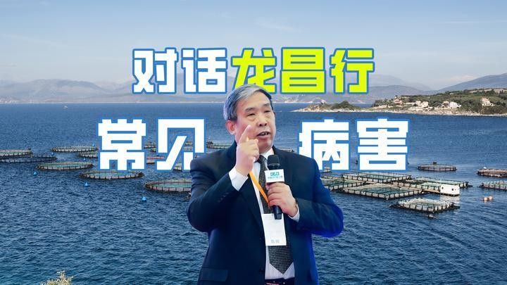 龍魚錯鱗會復發嗎（龍魚錯鱗會復發嗎龍魚錯鱗復發后還能恢復嗎）