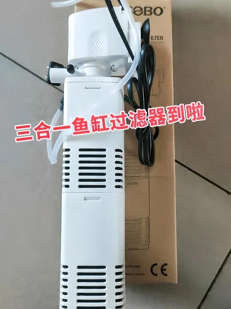 推薦幾款適合火龍魚的過濾器（幾款適合火龍魚的過濾器推薦）