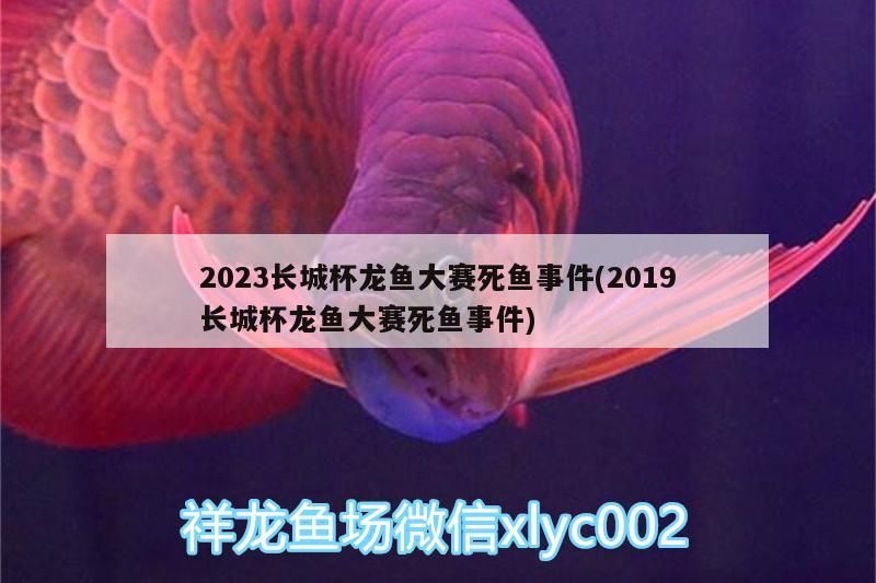 2023長城杯龍魚大賽死魚事件(2019長城杯龍魚大賽死魚事件)(2023長城杯龍魚大賽死魚事件具體應該怎么治療呢)