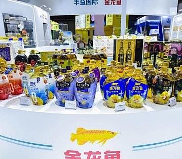 如何挑選高質量的金龍魚？（如何挑選高質量的金龍魚） 如何挑選高質量的金龍魚？（如何挑選高質量的金龍魚） 龍魚百科 第10張