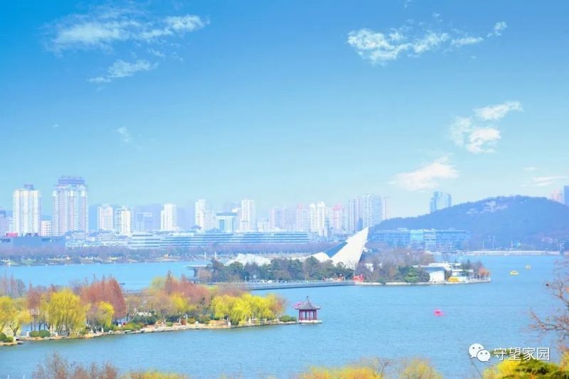 徐州鼓樓哪個水族館龍魚好？祥龍魚場龍魚（徐州鼓樓區有哪些水族館？） 徐州鼓樓哪個水族館龍魚好？祥龍魚場龍魚（徐州鼓樓區有哪些水族館？） 龍魚百科 第7張