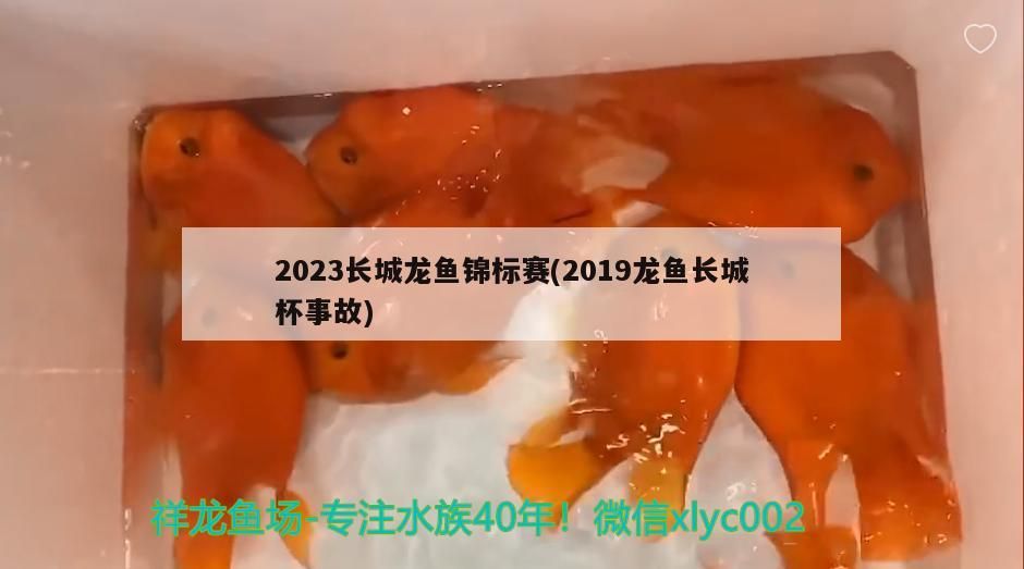 2023長城龍魚錦標(biāo)賽(2019龍魚長城杯事故)（2023長城龍魚錦標(biāo)賽）