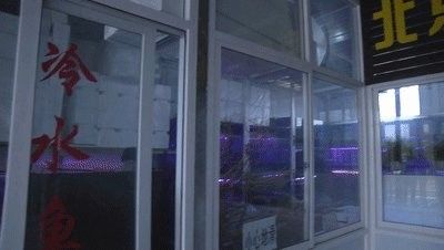 朝陽哪個水族館龍魚好？祥龍魚場龍魚（北京富國海底世界北京富國海底世界北京富國海底世界攜程攻略）