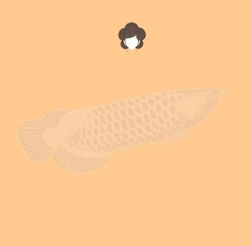 古典過背金龍魚有哪些品種？（古典過背金龍魚的價格是多少？） 古典過背金龍魚有哪些品種？（古典過背金龍魚的價格是多少？） 龍魚百科 第3張