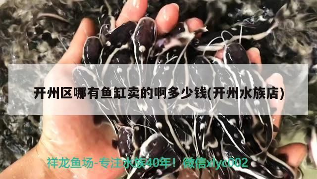 開州區(qū)哪有魚缸賣的啊多少錢(開州水族店)（關(guān)于開州水族店的問題）