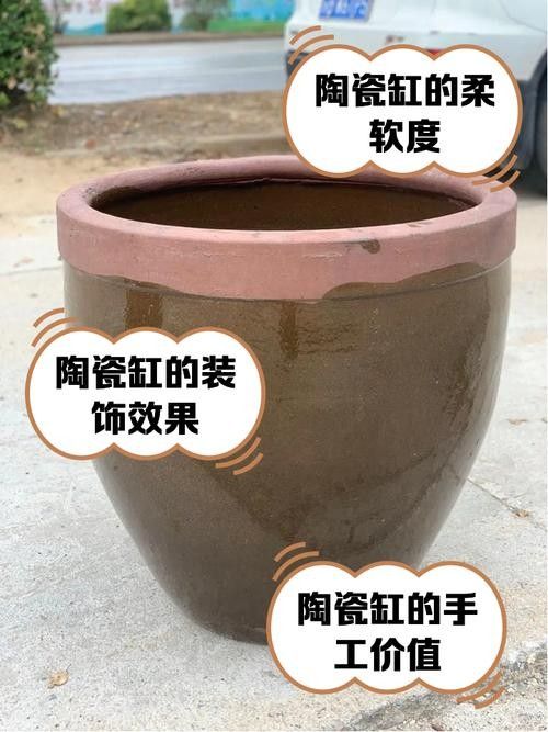 成品缸和定制缸哪個更耐用(探討成品缸和定制缸哪個更耐用哪個更耐用) 龍魚百科 第3張 成品缸和定制缸哪個更耐用(探討成品缸和定制缸哪個更耐用哪個更耐用) 成品缸和定制缸哪個更耐用(探討成品缸和定制缸哪個更耐用哪個更耐用) 龍魚百科 第3張
