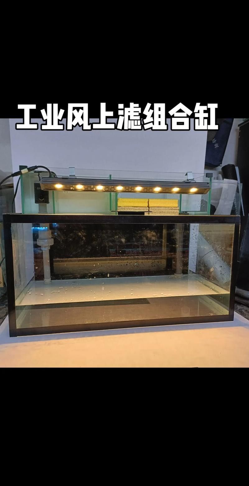 成品缸和定制缸哪個更耐用(探討成品缸和定制缸哪個更耐用哪個更耐用) 龍魚百科 第4張 成品缸和定制缸哪個更耐用(探討成品缸和定制缸哪個更耐用哪個更耐用) 成品缸和定制缸哪個更耐用(探討成品缸和定制缸哪個更耐用哪個更耐用) 龍魚百科 第4張
