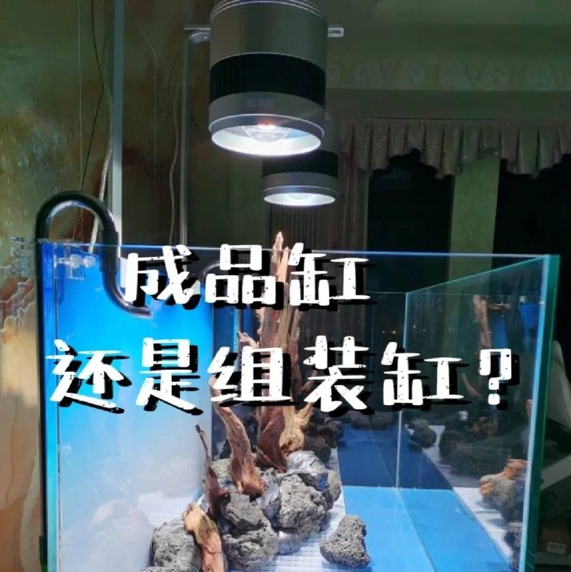 成品缸和定制缸哪個更耐用（探討成品缸和定制缸哪個更耐用哪個更耐用） 成品缸和定制缸哪個更耐用（探討成品缸和定制缸哪個更耐用哪個更耐用） 龍魚百科 第13張