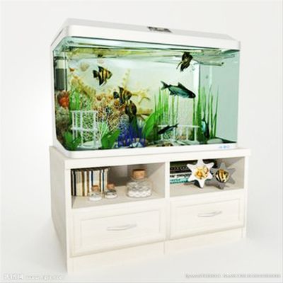 室內(nèi)裝修魚缸好嗎視頻（室內(nèi)裝修中魚缸圖片欣賞）
