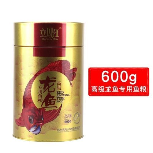有哪些食物適合金龍魚？（金龍魚吃什么食物好）