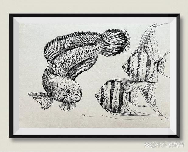 給我一張雷龍魚的素描畫（手繪線描龍魚） 給我一張雷龍魚的素描畫（手繪線描龍魚） 龍魚百科 第6張