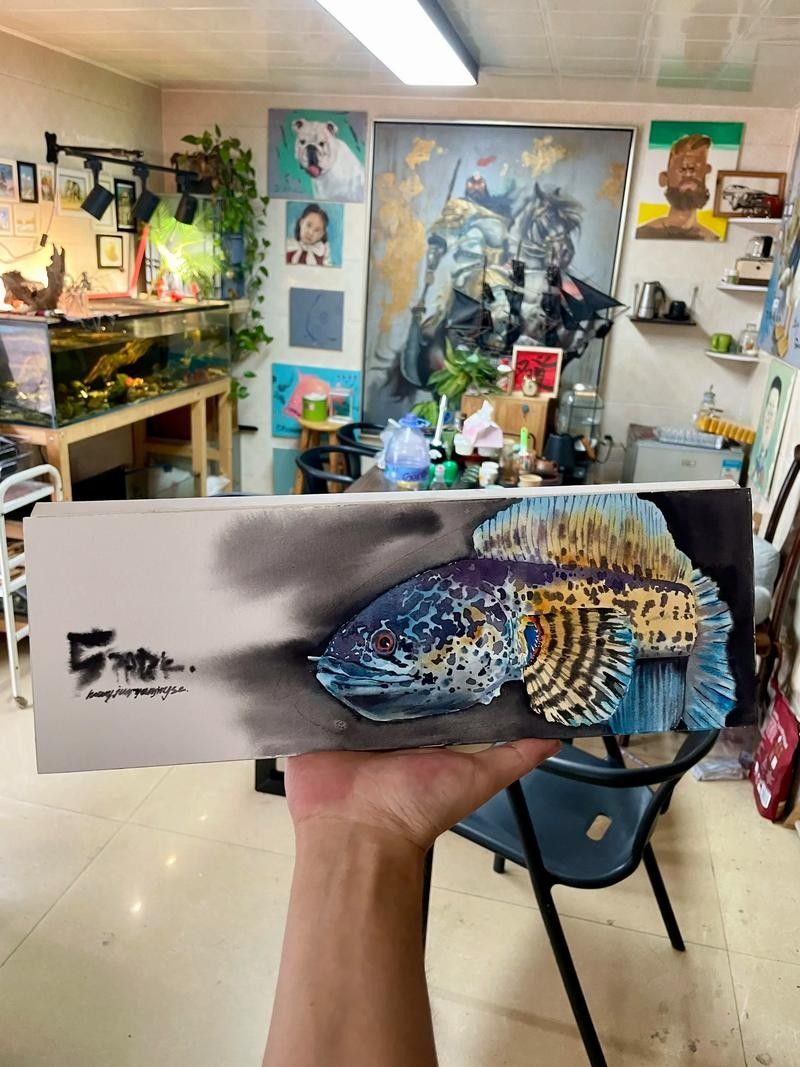 給我一張雷龍魚的素描畫（手繪線描龍魚） 給我一張雷龍魚的素描畫（手繪線描龍魚） 龍魚百科 第26張