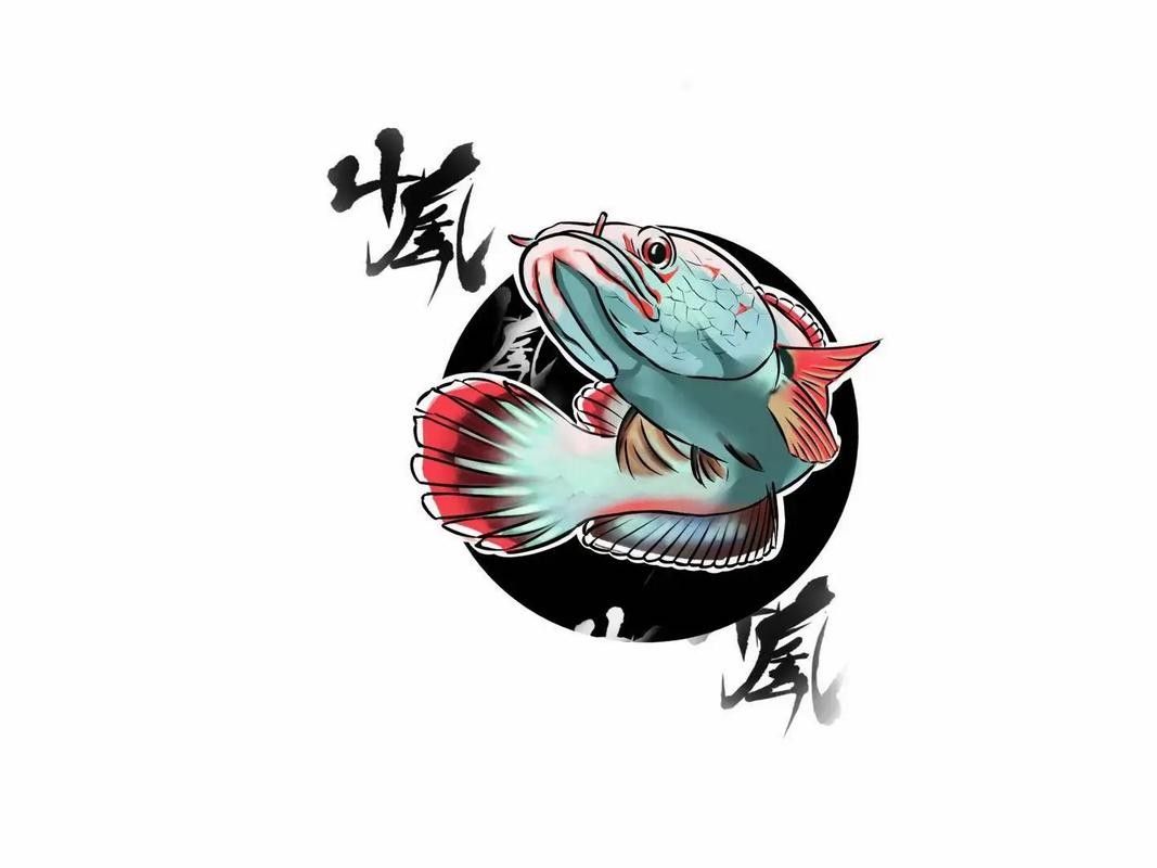 給我一張雷龍魚的素描畫（手繪線描龍魚） 給我一張雷龍魚的素描畫（手繪線描龍魚） 龍魚百科 第30張