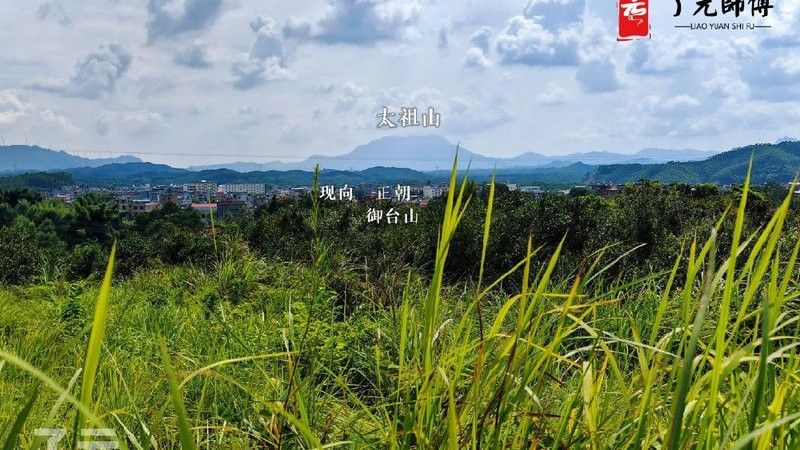 能否提供更多風水學中的龍形地案例（風水學中，龍形地是指什么？） 能否提供更多風水學中的龍形地案例（風水學中，龍形地是指什么？） 龍魚百科 第1張