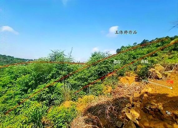 能否提供更多風水學中的龍形地案例（風水學中，龍形地是指什么？） 能否提供更多風水學中的龍形地案例（風水學中，龍形地是指什么？） 龍魚百科 第3張