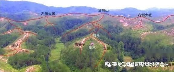 能否提供更多風水學中的龍形地案例（風水學中，龍形地是指什么？） 能否提供更多風水學中的龍形地案例（風水學中，龍形地是指什么？） 龍魚百科 第2張