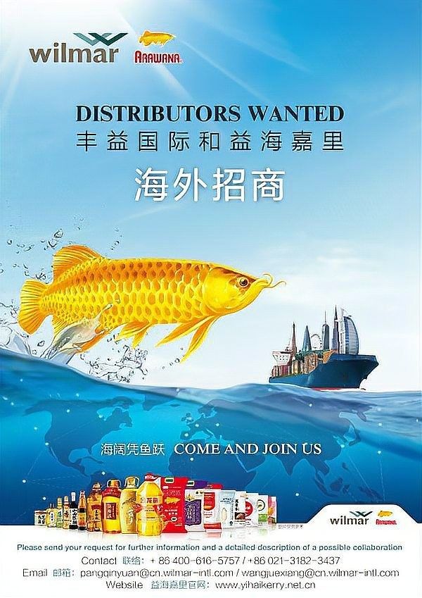 金龍魚的主要業(yè)務(wù)是否涉及日本（金龍魚在日本市場的未來規(guī)劃是什么金龍魚在日本銷售額是多少） 金龍魚的主要業(yè)務(wù)是否涉及日本（金龍魚在日本市場的未來規(guī)劃是什么金龍魚在日本銷售額是多少） 龍魚百科 第3張