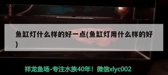 魚缸燈什么樣的好一點(魚缸燈用什么樣的好)（魚缸養魚用什么燈好） 魚缸燈什么樣的好一點(魚缸燈用什么樣的好)（魚缸養魚用什么燈好） 觀賞魚百科