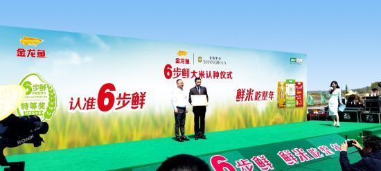 金龍魚品牌排行榜（金龍魚品牌排行榜前十名）（2018年金龍魚品牌排行榜）