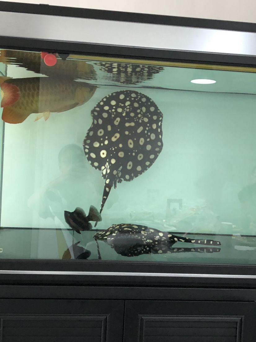魚缸的水上樂(lè)園(水上樂(lè)園上面的設(shè)備)（中國(guó)十大水上樂(lè)園）