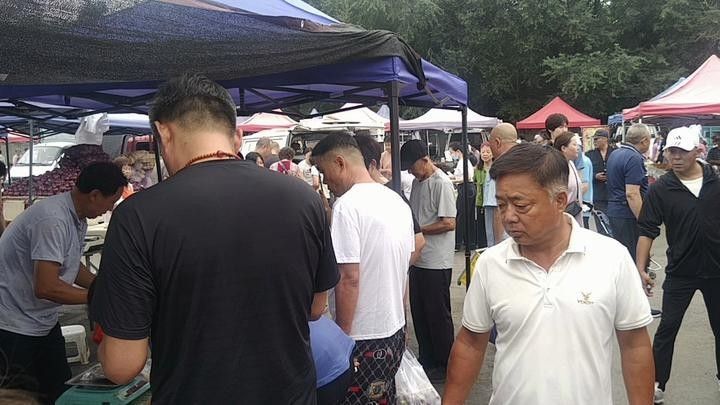 哪里可以買到正宗的青龍魚（北京哪里可以買到正宗的青龍魚）