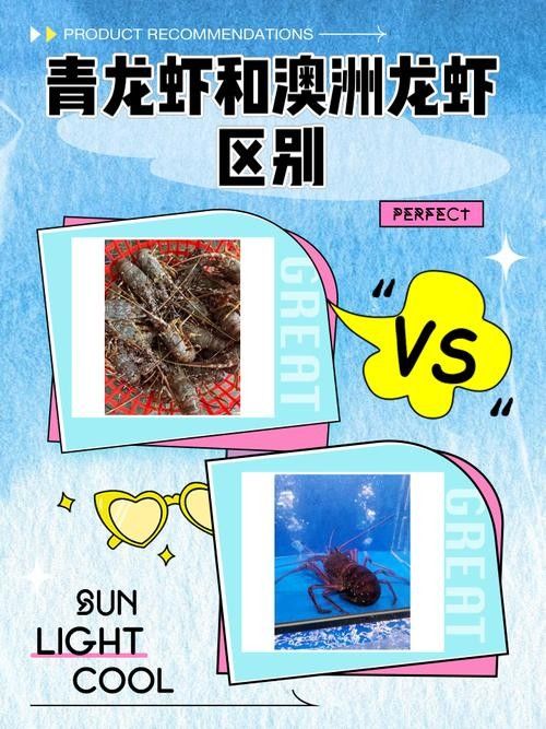 哪里可以買到正宗的青龍魚（北京哪里可以買到正宗的青龍魚）