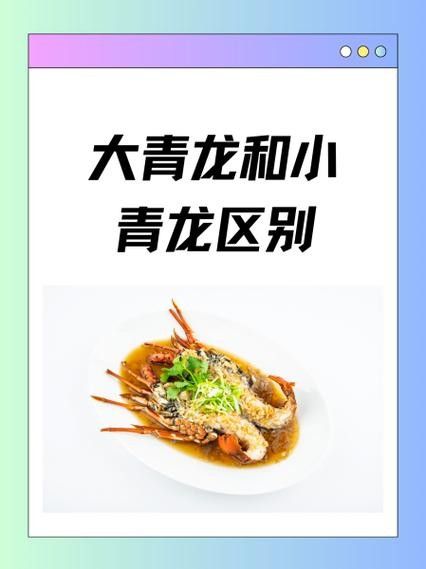 哪里可以買到正宗的青龍魚（北京哪里可以買到正宗的青龍魚）