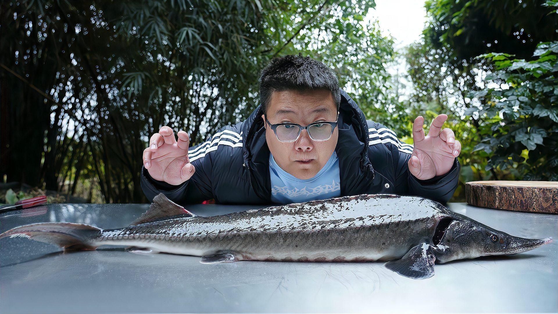如何制作盤龍魚？（制作盤龍魚的簡(jiǎn)單指南）