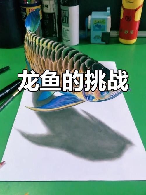 給我一張龍魚簡筆畫的示例圖（|水彩筆色彩練習《水中的活化石”龍魚簡筆畫）