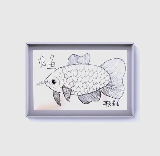 給我一張龍魚簡筆畫的示例圖（|水彩筆色彩練習《水中的活化石”龍魚簡筆畫）