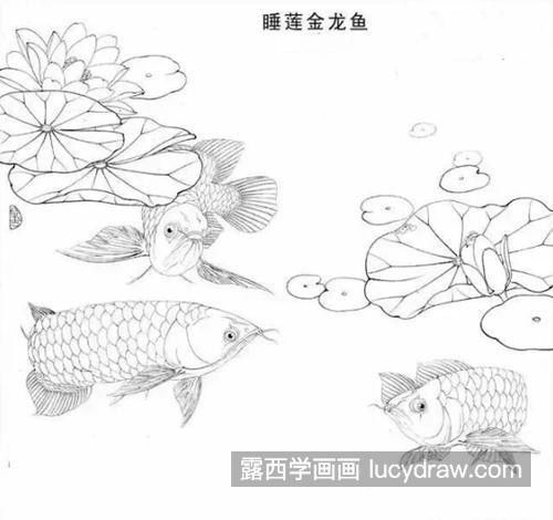 給我一張龍魚簡筆畫的示例圖（|水彩筆色彩練習《水中的活化石”龍魚簡筆畫）