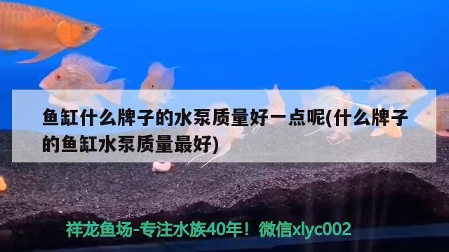 魚缸什么牌子的水泵質(zhì)量好一點(diǎn)呢(什么牌子的魚缸水泵質(zhì)量最好)