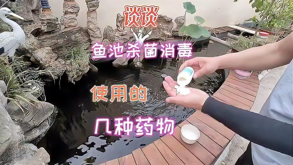 如何消毒處理活餌（如何安全地消毒活餌） 如何消毒處理活餌（如何安全地消毒活餌） 龍魚百科 第5張