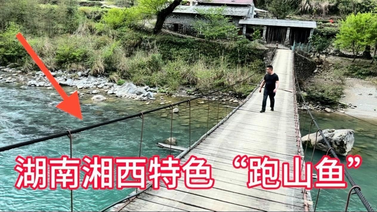 過山龍魚的主要食物有哪些？（過山龍魚喂食排行榜過山龍魚喂食排行榜龍魚喂食排行榜）