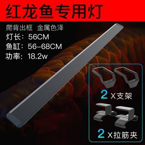 哪個品牌的紅龍照明性價比最高