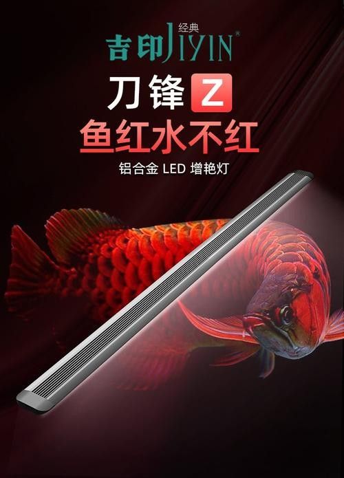 哪個品牌的紅龍照明性價比最高