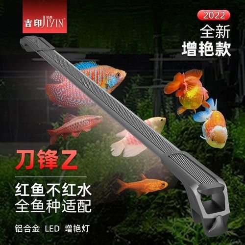哪個品牌的紅龍照明性價比最高