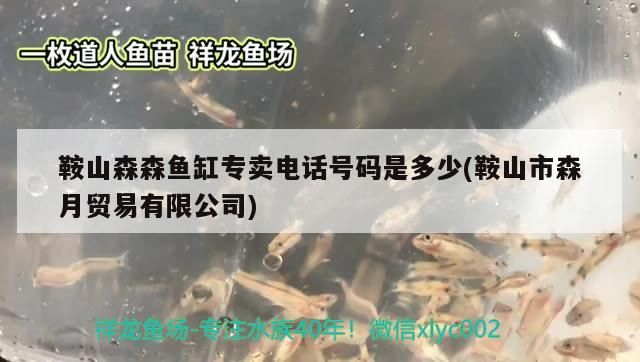 鞍山森森魚缸專賣電話號碼是多少(鞍山市森月貿(mào)易有限公司)（鞍山市森月貿(mào)易有限公司、鞍山森森魚缸專賣電話號碼是多少的介紹）