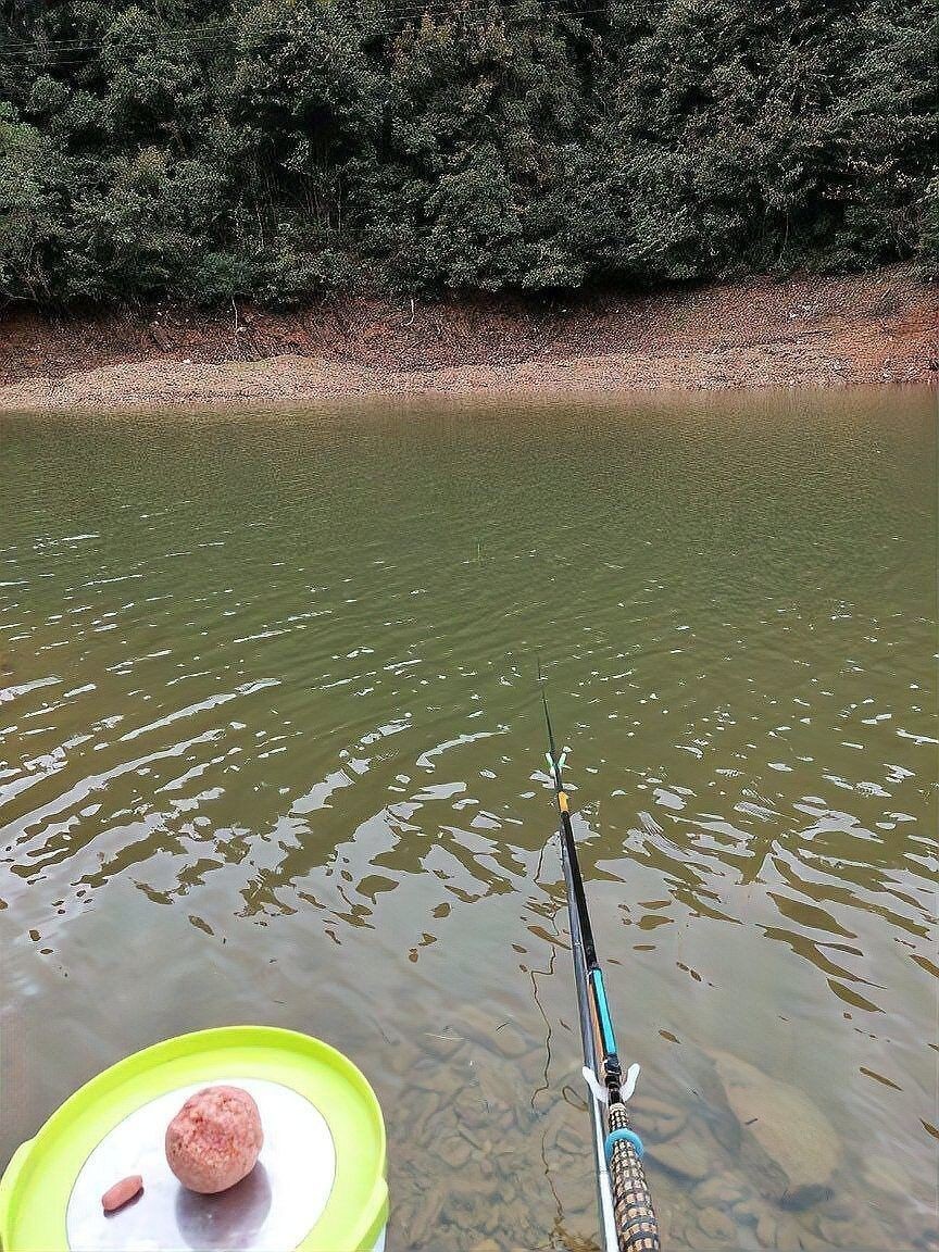 金龍魚餌的價格范圍是多少（金龍魚餌價格因品牌、規格和購買地點的不同而有所差異） 金龍魚餌的價格范圍是多少（金龍魚餌價格因品牌、規格和購買地點的不同而有所差異） 龍魚百科 第10張