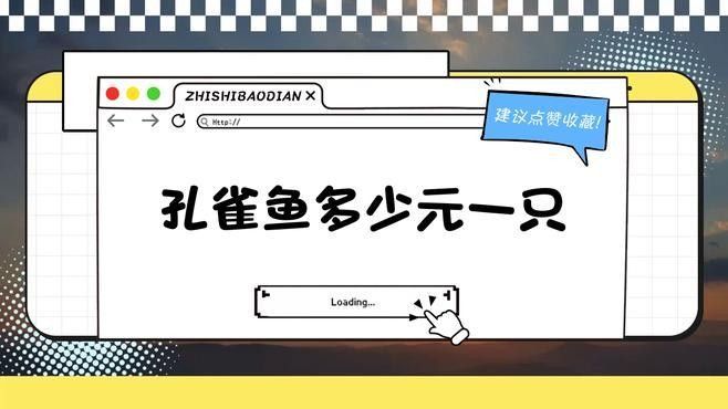 孔雀龍魚的市場價格如何（孔雀龍魚市場價格波動大嗎）