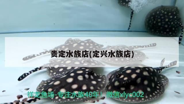 魚(yú)缸造景先放沙還是先放水(魚(yú)缸造景先鋪沙還是先放石頭) 貴定水族店(定興水族店) 觀賞魚(yú)百科 貴定水族店(定興水族店) 貴定水族店(定興水族店) 觀賞魚(yú)百科