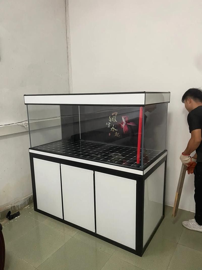 龍魚缸背景圖材質(zhì)有哪些選擇（魚缸背景圖材質(zhì)選擇對(duì)于營(yíng)造一個(gè)既美觀又實(shí)用的水族環(huán)境至關(guān)重要）