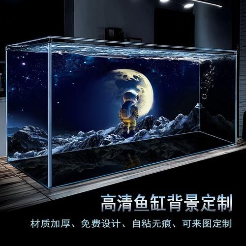 龍魚缸背景圖材質(zhì)有哪些選擇（魚缸背景圖材質(zhì)選擇對(duì)于營(yíng)造一個(gè)既美觀又實(shí)用的水族環(huán)境至關(guān)重要）