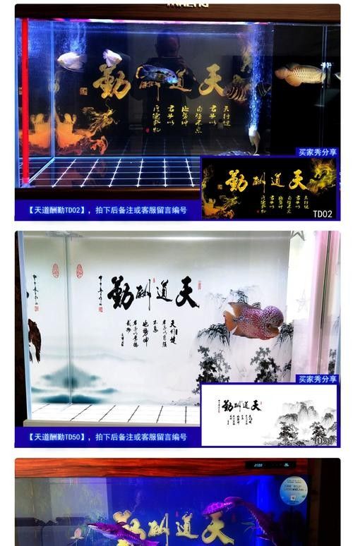龍魚缸背景圖材質(zhì)有哪些選擇（魚缸背景圖材質(zhì)選擇對(duì)于營(yíng)造一個(gè)既美觀又實(shí)用的水族環(huán)境至關(guān)重要）
