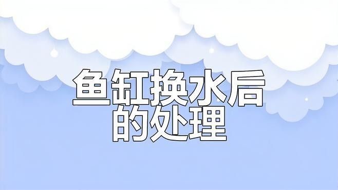 金龍魚換水時需要清理魚缸嗎（金龍魚換水時是否需要清理魚缸）