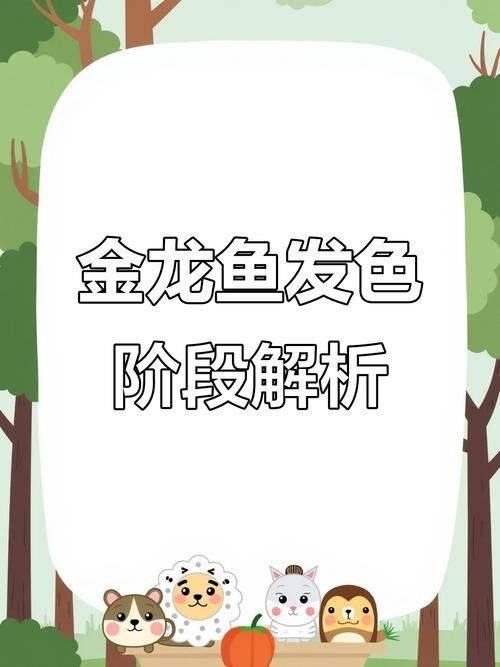 金龍魚(yú)鱗片發(fā)色需要多長(zhǎng)時(shí)間（金龍魚(yú)發(fā)色秘籍，掌握技巧，色彩更絢麗）